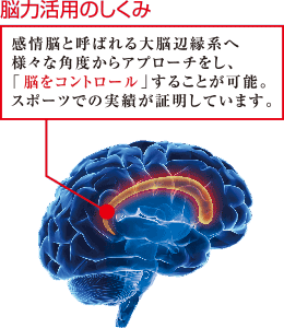 脳力活用のしくみ　脳をコントロール感情脳と呼ばれる大脳辺縁系へ様々な角度からアプローチをし、「脳をコントロール」することが可能。スポーツでの実績が証明しています。